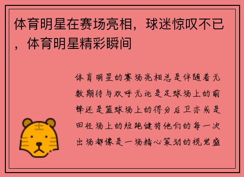 体育明星在赛场亮相，球迷惊叹不已，体育明星精彩瞬间