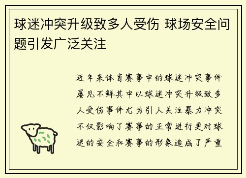 球迷冲突升级致多人受伤 球场安全问题引发广泛关注