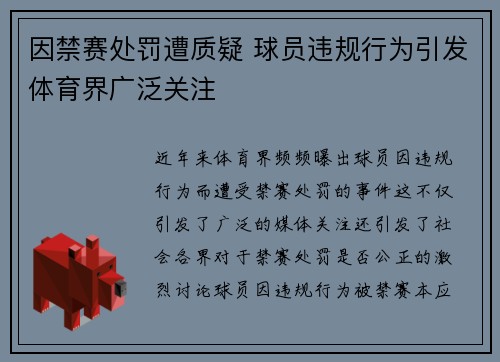 因禁赛处罚遭质疑 球员违规行为引发体育界广泛关注